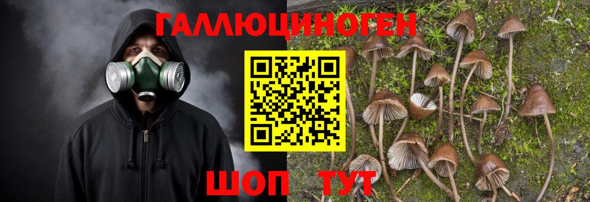 Псилоцибиновые грибы GOLDEN TEACHER Йошкар-Ола