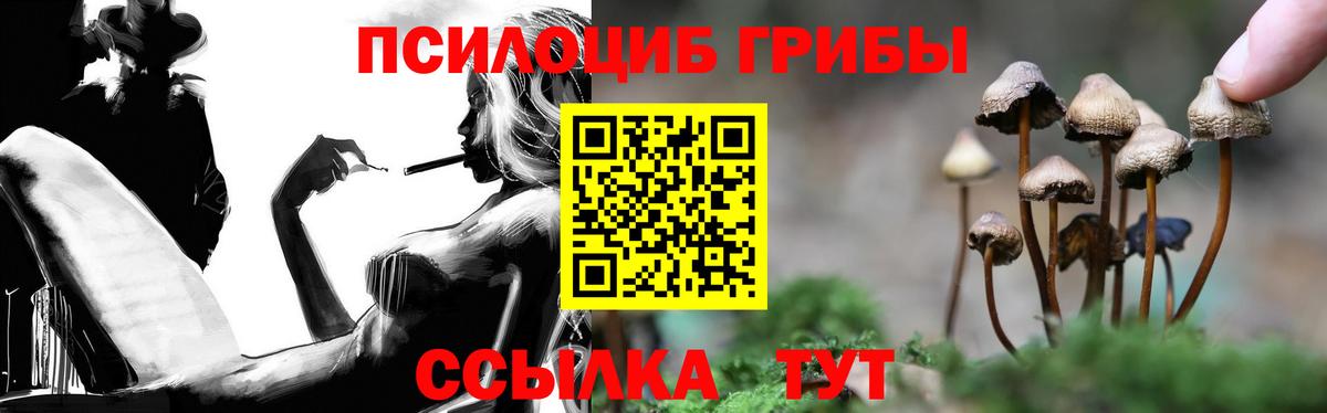 Йошкар-Ола  Псилоцибиновые грибы мицелий  Вход с VPN 